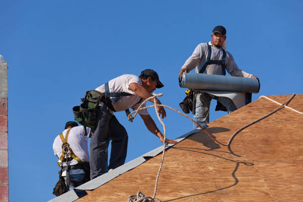 Best Metal Roofing Contractor  in New Freedom, PA